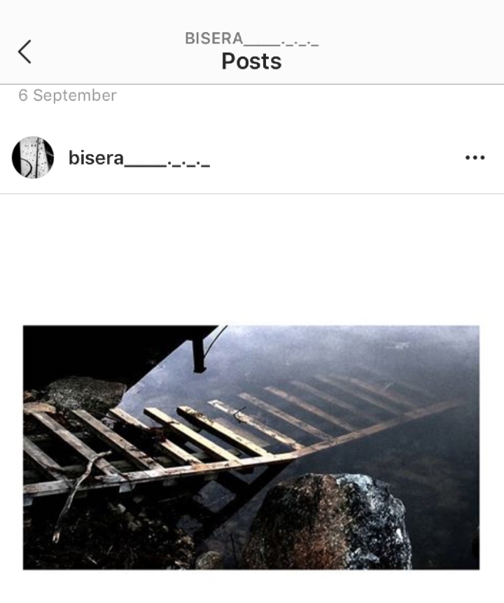 Bisera, Instagram feed